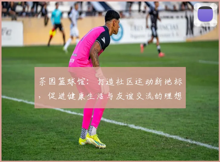 茶园篮球馆：打造社区运动新地标，促进健康生活与友谊交流的理想场所