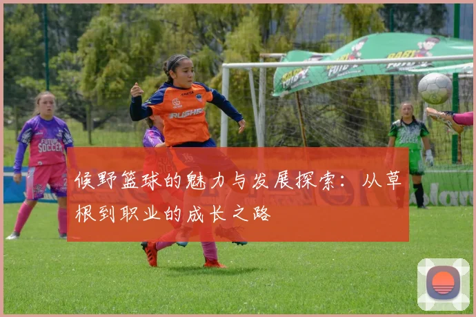 候野篮球的魅力与发展探索：从草根到职业的成长之路