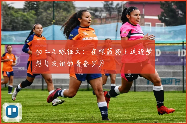 初二足球征文：在绿茵场上追逐梦想与友谊的青春岁月