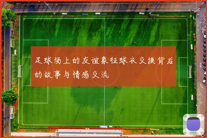 足球场上的友谊象征球衣交换背后的故事与情感交流