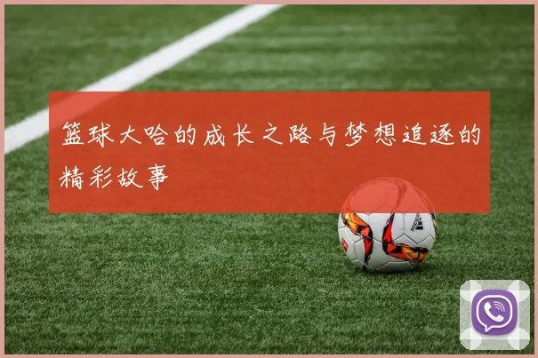 篮球大哈的成长之路与梦想追逐的精彩故事